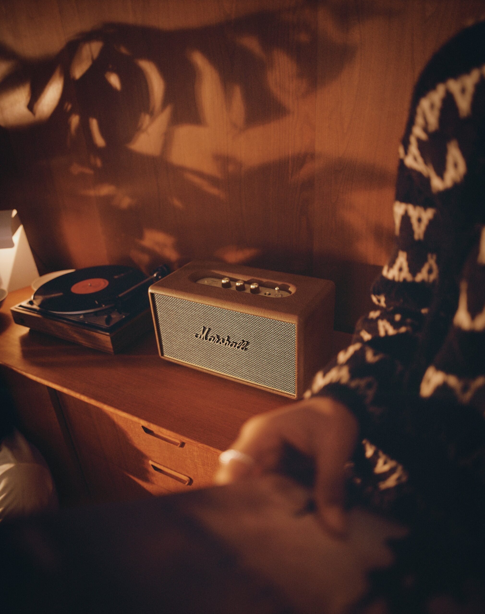 Audio & Speakers